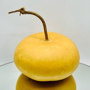 Clean Dried Natural Gourd 
ARTS & CRAFTS Project Ready ~ Table Top Centerpiece